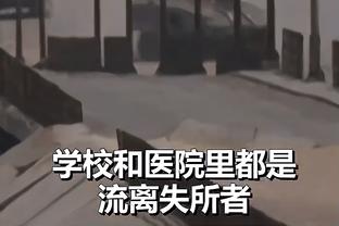 开云全站网页登录